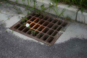 Local Drain Unblockers